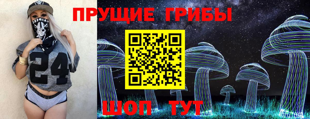 Красноярск  Галлюциногенные грибы Magic Shrooms  Псилоцибиновые грибы прущие грибы  Вход с VPN 