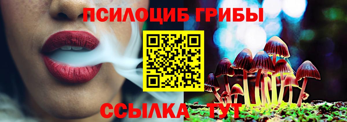 Галлюциногенные грибы GOLDEN TEACHER Красноярск